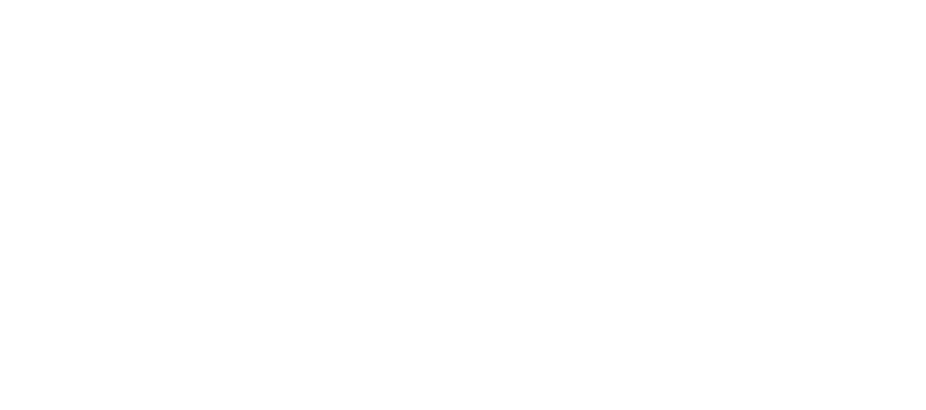 THE DREAM FACTORY Logo
